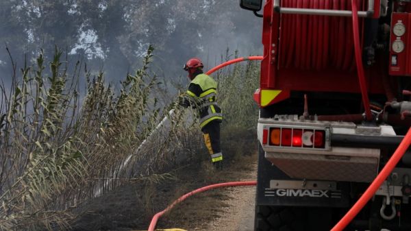 Var : plusieurs milliers de mètres carrés parcourus par un incendie à Fréjus