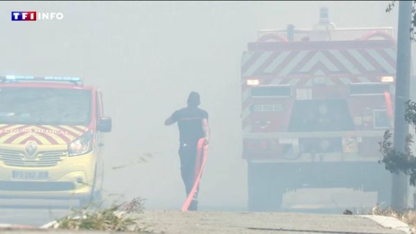 Évacuations à Fréjus après un nouveau départ de feu : les premières images | TF1 INFO