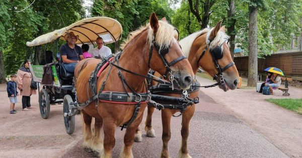 Nancy. Une calèche s'installe à la Pépinière pour l'été