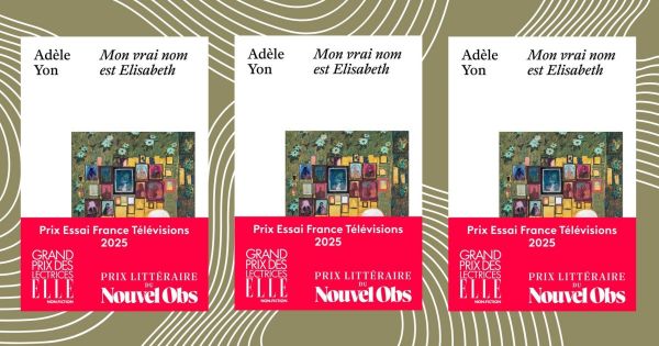 Ce roman met tout le monde d'accord depuis le début de l'année 2025, et il est des plus poignants