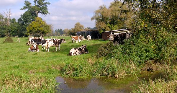 Crédits nature : la Commission européenne lance une feuille de route