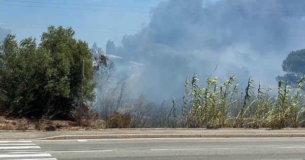 Var : un incendie en cours à Fréjus, des logements et un camping évacués