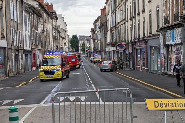 Attaque d'abeilles à Aurillac : que risque-t-on en cas de piqûres multiples ?