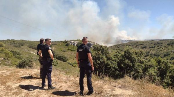 Alerte incendies : où s'informer pour éviter les zones à risque ?