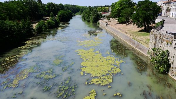 Face à la sécheresse, la préfecture de l'Aude ajuste des restrictions sur l'usage de l'eau face à la baisse continue des débits