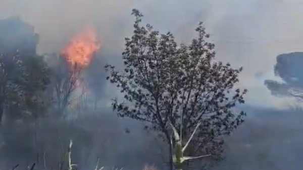 Incendie à Fréjus : plusieurs milliers de mètres carrés ravagés, un camping momentanément évacué