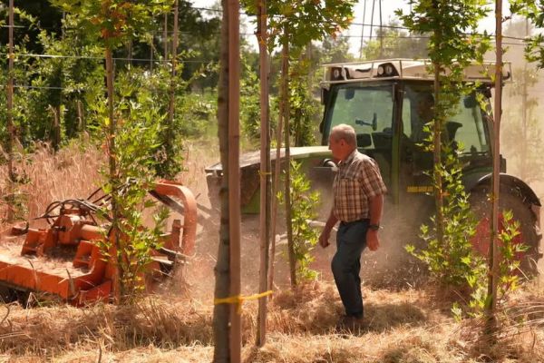 Faire pousser des arbres sans arrosage, ni engrais, pari gagné pour ce pépiniériste