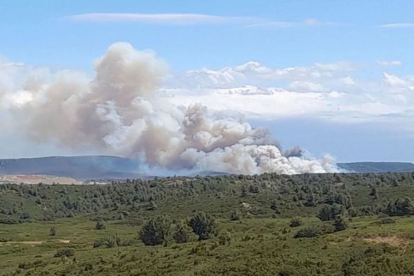 Incendie dans l'Hérault : "il faut casser la tête du feu", plus de 150 pompiers et 8 avions luttent contre un feu de pinède poussé par des rafales de vent à plus de 75km/h