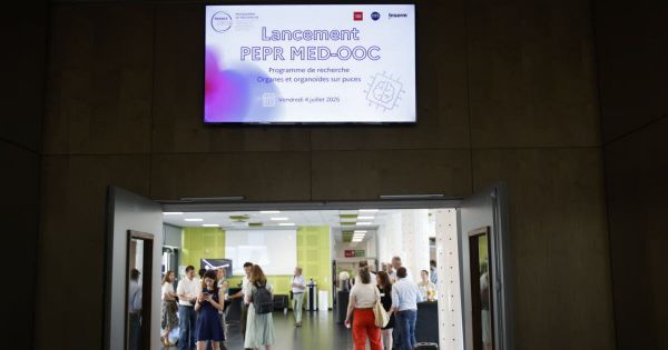 Recherche. Mimer une maladie ou un organe : un programme XXL pour un outil clé de la médecine personnalisée