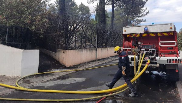 Incendie à Saint-Clément-de-Rivière : la feu a parcouru 5 ha de pinède, une soixantaine de personnes évacuées