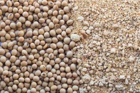 L'Éthiopie renforce son accès au marché chinois du soja