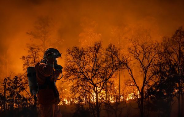 Incendie : plusieurs milliers de mètres carrés brûlés à Fréjus, un camping et des logements évacués