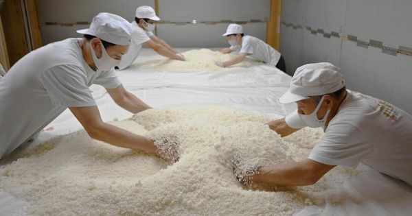 Pourquoi le saké japonais devient de plus en plus sucré