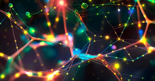 Des chercheurs prouvent que des nouveaux neurones se forment aussi dans un cerveau adulte