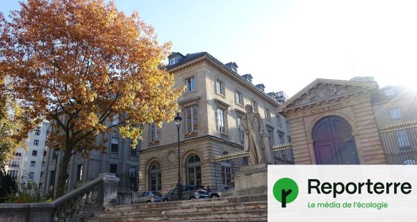 Contre 2 millions d'euros, le Collège de France n'a plus le droit de « porter atteinte à l'image » de TotalEnergies