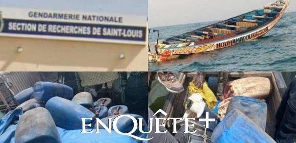 AXE SAINT-LOUIS – MBOUR : Comment la DNLT a fait foirer deux opérations d'embarquement de migrants