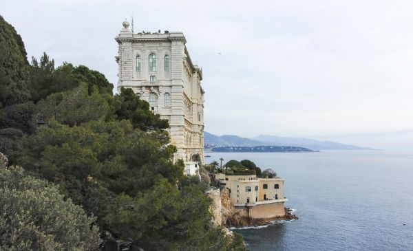 Caroline de Monaco : « Le jardin de la villa est une oasis de paix », sa demeure Belle Epoque sur le Rocher, avec six chambres, une piscine et une vue imprenable sur la Méditerranée, qu'elle [...]