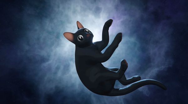 Flow, le chat qui n'avait plus peur de l'eau : le film sur Canal+