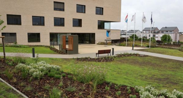 Frisange : le végétal s'invite sur le parvis de la mairie