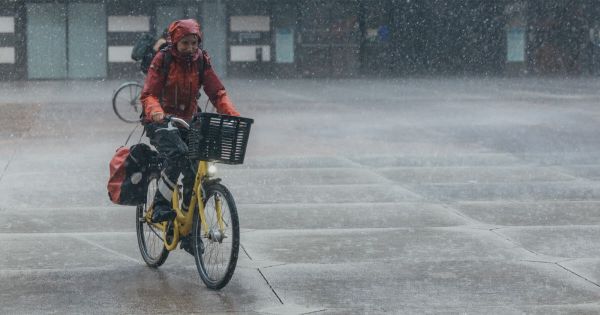Métropole de Grenoble. Orage : les rafales font chuter des arbres sur la chaussée