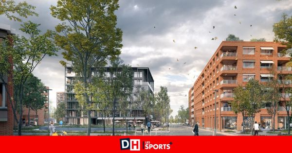 Une "erreur d'interprétation massive” : Les Verts et le MR relativisent fortement les conséquences d'un moratoire sur l'urbanisation des friches