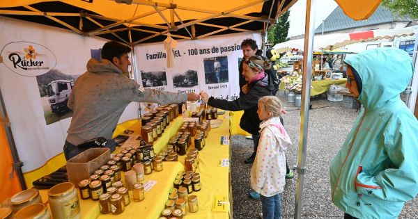 Photos. Gérardmer : exposants et vacanciers au rendez-vous pour le premier marché nocturne de l'été malgré la pluie