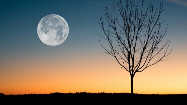 Pleine Lune du Cerf: comment voir ce spectacle rare à couper le souffle ?
