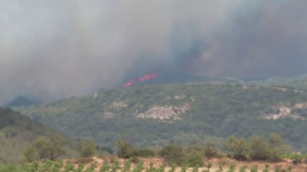 Incendies dans l'Aude : 1500 hectares touchés
