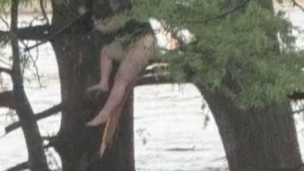 Inondations au Texas : une femme survit en restant accrochée à un arbre