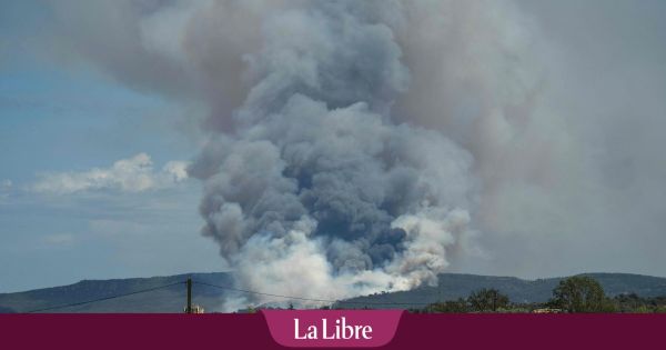 Un feu parcourt 1.450 hectares près de Narbonne, habitants évacués, A9 fermée (PHOTOS)