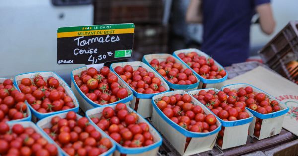 Appel à témoignages. À l'apéro, cuisinées... Comment consommez-vous les tomates cerises ?