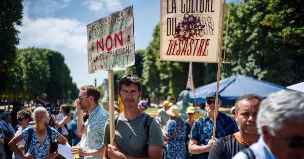 Loi Duplomb : «Si cela conduit à ce que les producteurs arrêtent de rechercher des alternatives au néonicotinoïde réautorisé, c'est une catastrophe»