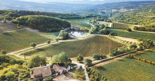 Les Estivales du domaine Les Davids Quatre jours enchantés en Luberon