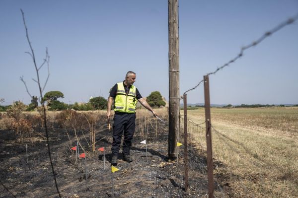 Dans l'Hérault, comment les pompiers enquêteurs ont trouvé l'origine d'un incendie grâce à un escargot brûlé