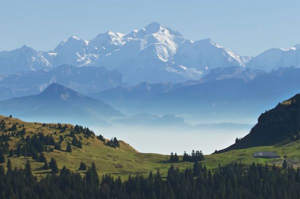 « Notre nouveau monde » : la formidable résilience de la nature face aux dérèglements climatiques