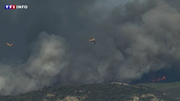 Incendie dans l'Aude : pourquoi est-il si difficile de venir à bout des flammes ? Les explications du préfet sur LCI | TF1 INFO
