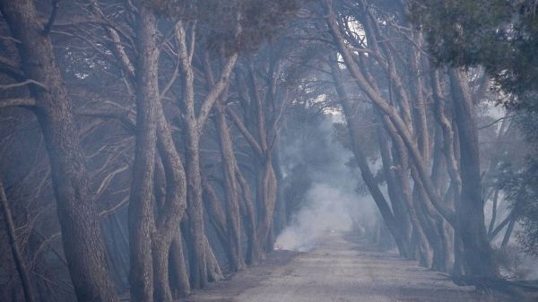 Incendie dans l'Aude : "Le feu n'est toujours pas fixé" et "le vent se lève", prévient le chef des pompiers