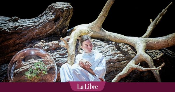 À Avignon, les silences coupables des pères
