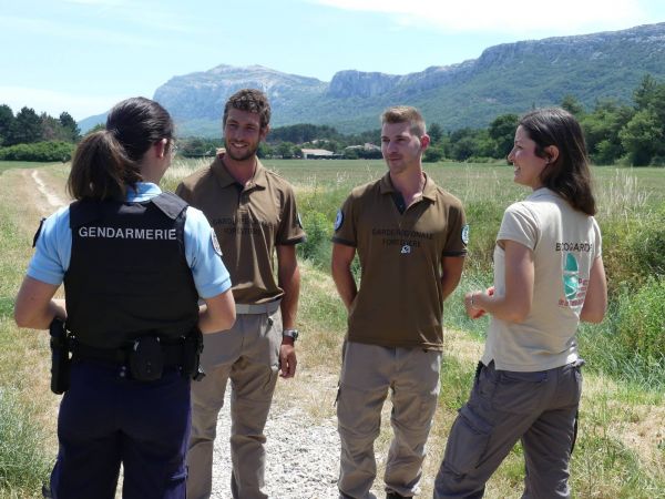 Les conseils des gardes pour préserver la nature à la Sainte-Baume
