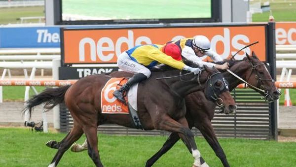 Quinté à Chantilly du mardi 8 juillet : les pronostics hippiques d'Hervé Fortin
