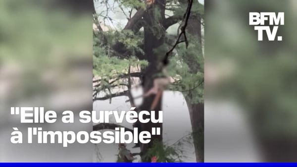Texas: le sauvetage miraculeux d'une femme, emportée par les eaux sur 20 km
