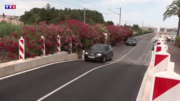 "Ça fait rampe de lancement" : ce dos d'âne temporaire de Golfe-Juan hérisse les automobilistes | TF1 INFO
