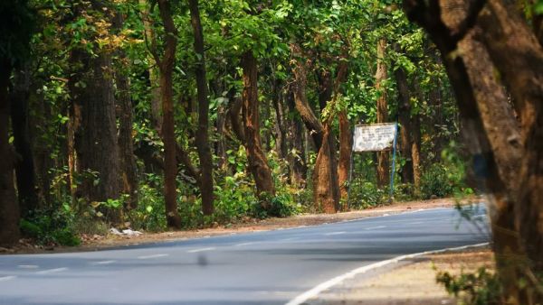 Un adolescent de 13 ans retrouvé mort dans une forêt : il avait disparu un soir en embarquant dans une voiture