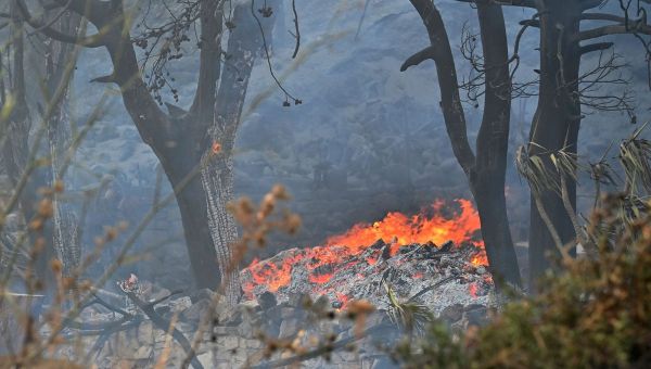 Risque de feux de forêt : les Bouches-du-Rhône, le Var et le Vaucluse en vigilance rouge ce mardi