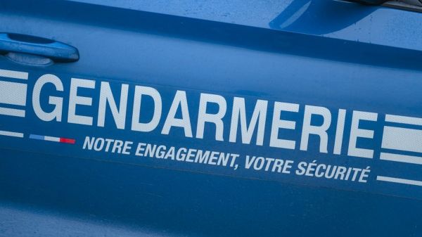 Six mois après leur vol, onze tableaux d'une valeur de 715 000 euros retrouvés