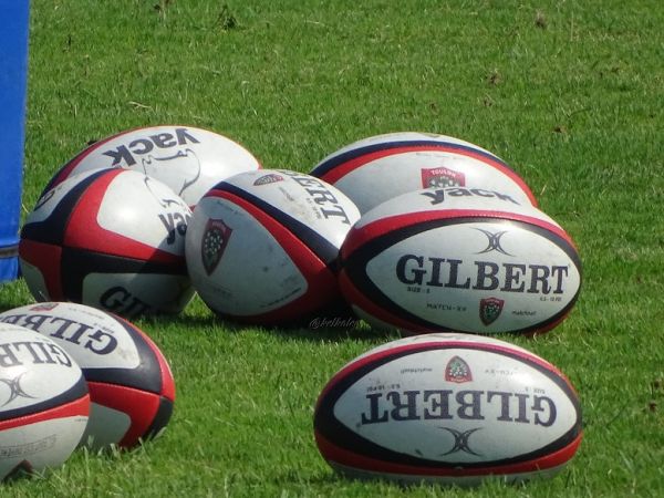 Un jeune Toulonnais rejoint Niort