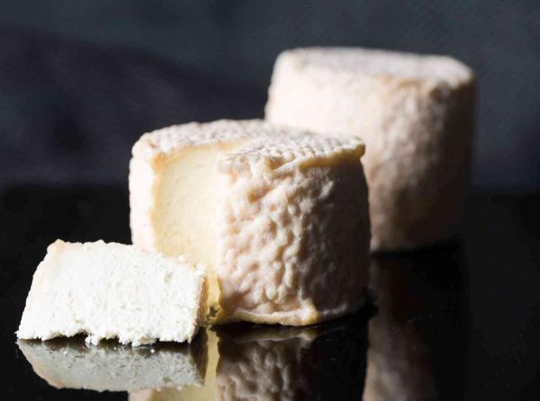 Encéphalite à tiques : attention aux fromages au lait cru...