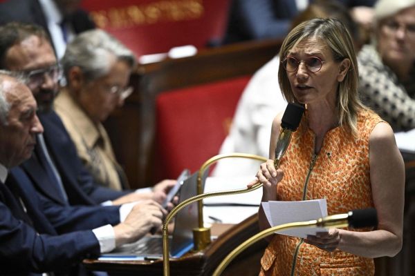 Loi Duplomb sur l'agriculture : que contient le texte qui doit être voté à l'Assemblée nationale ?