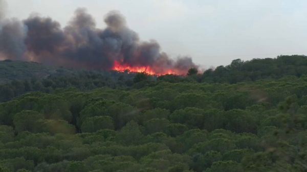 "Tout était noir, la cendre tombait": des sinistrés racontent le violent incendie dans l'Aude