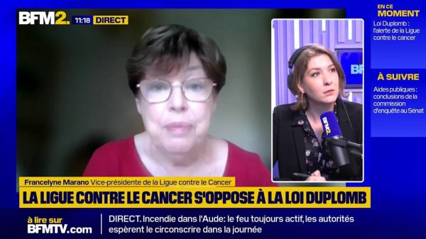 Loi Duplomb et expositions aux pesticides : une vigilance insuffisante, surtout pour les enfants, selon la Ligue contre le cancer